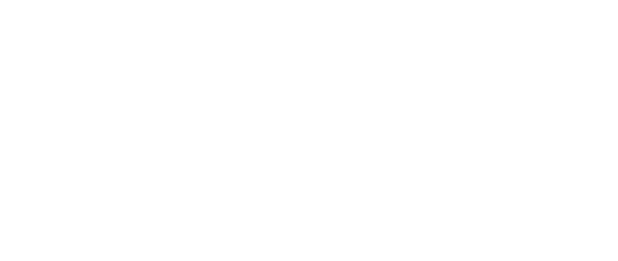 Logo Rodimex